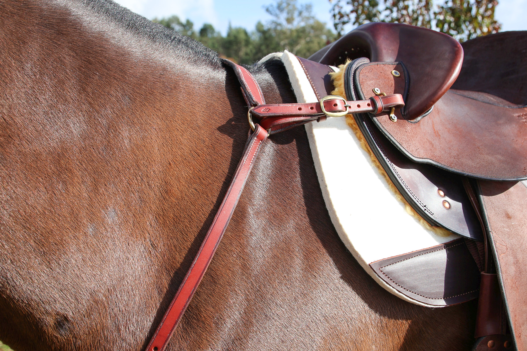 Handmade Leather Breastplate – Redgum - Image 3