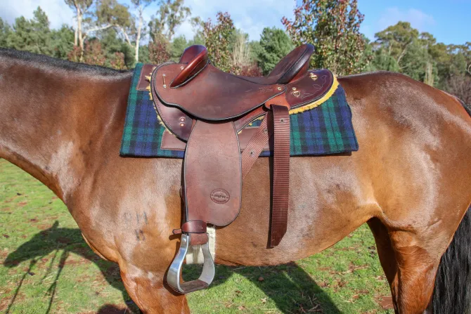 Mathew Murray Campdrafter Saddle Pad – Green & Blue