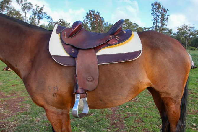 Mathew Murray Felt Saddle Pad
