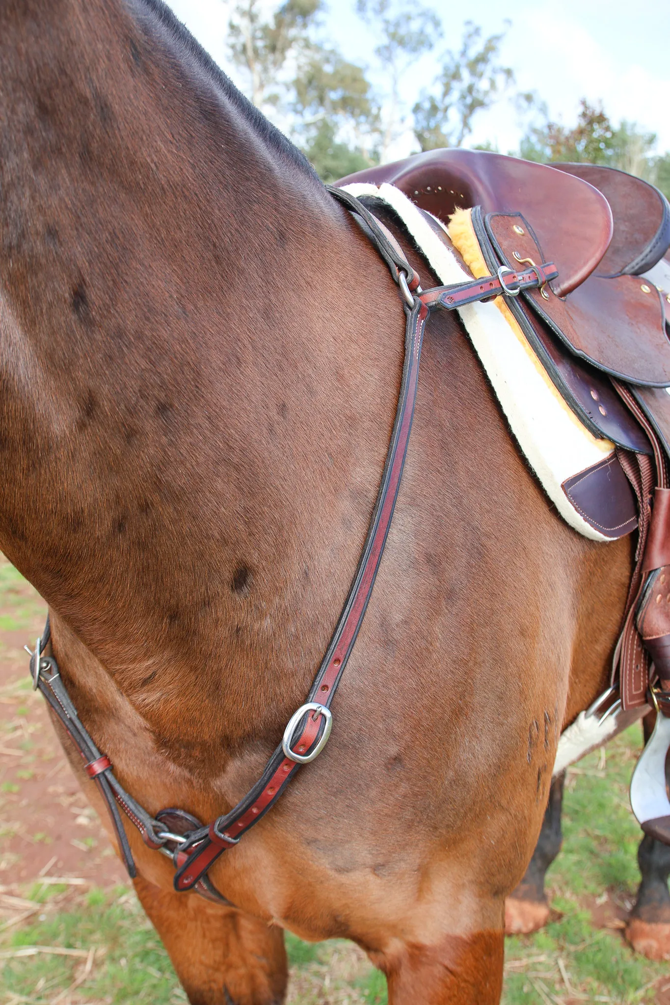 Handmade Leather Breastplate – Redgum - Image 2