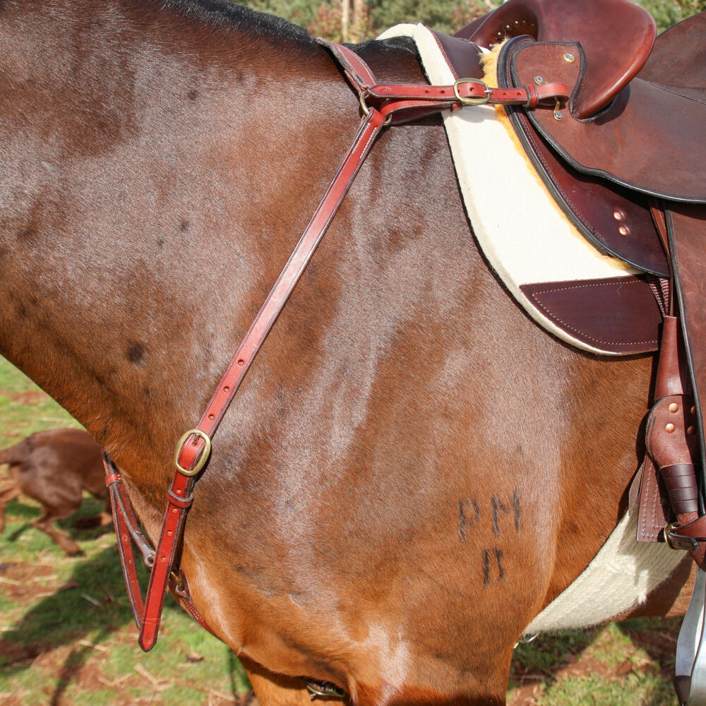 Handmade Leather Breastplate – Redgum