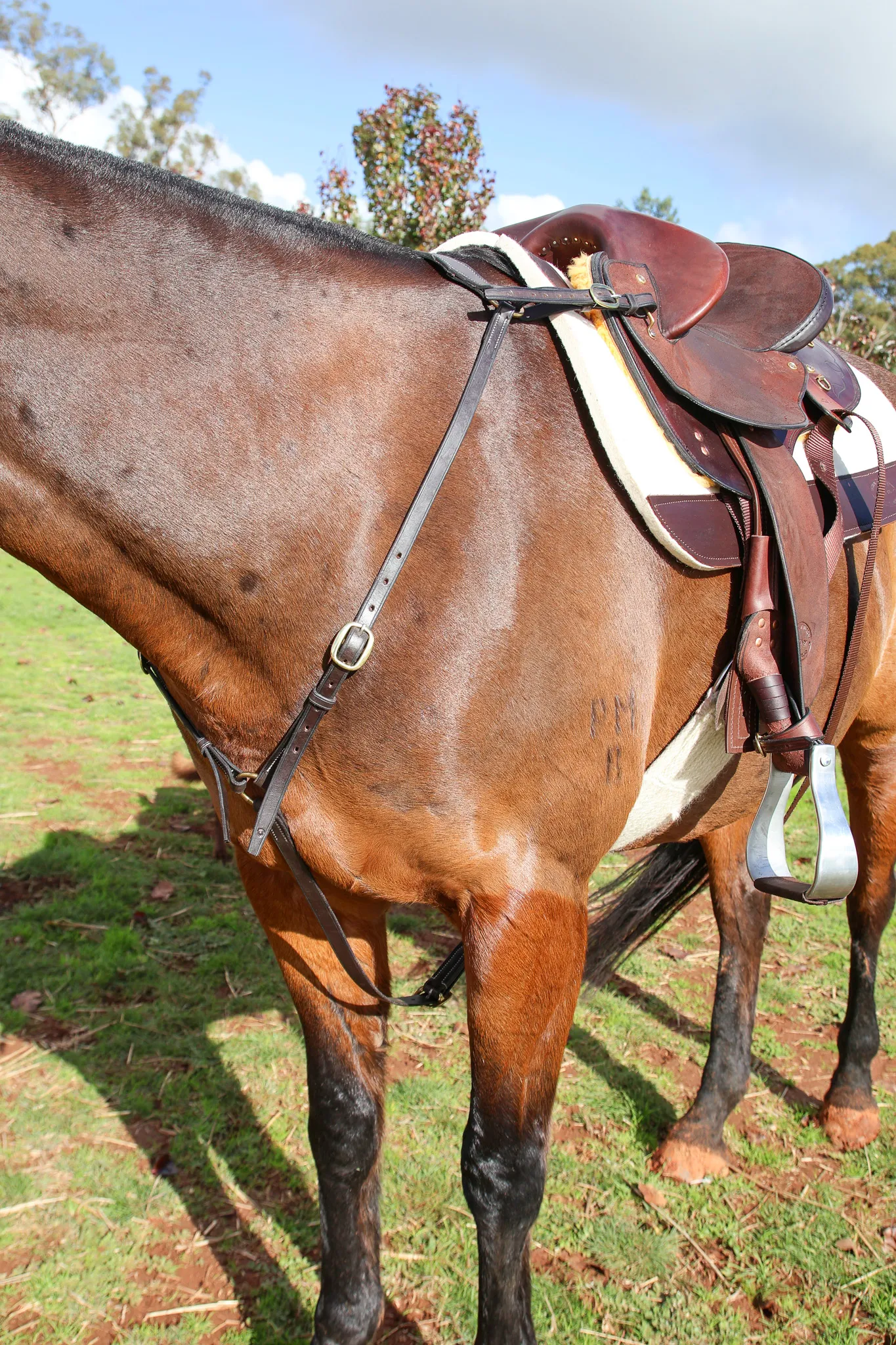 Handmade Leather Breastplate – Brown - Image 3