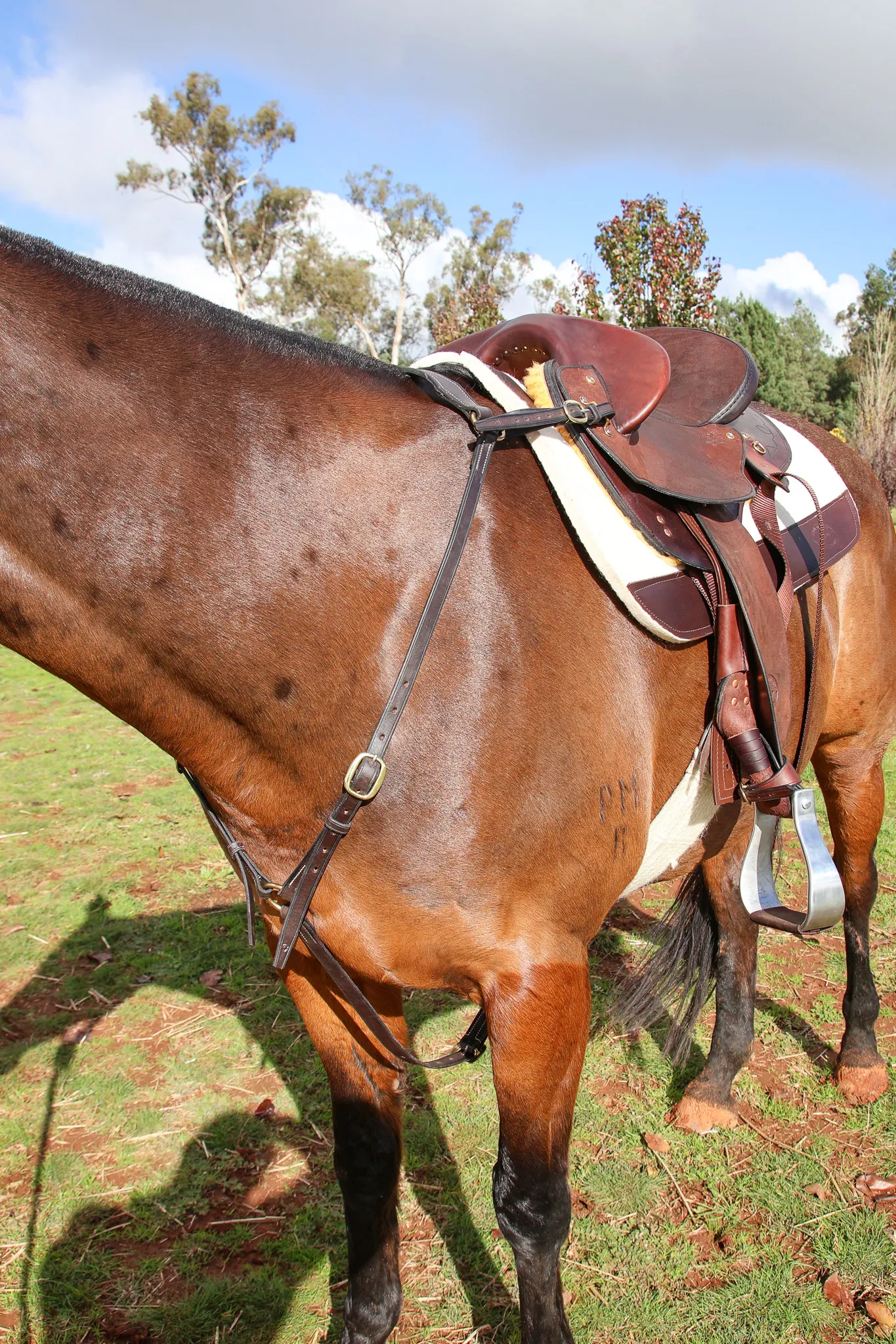 Handmade Leather Breastplate – Brown - Image 6