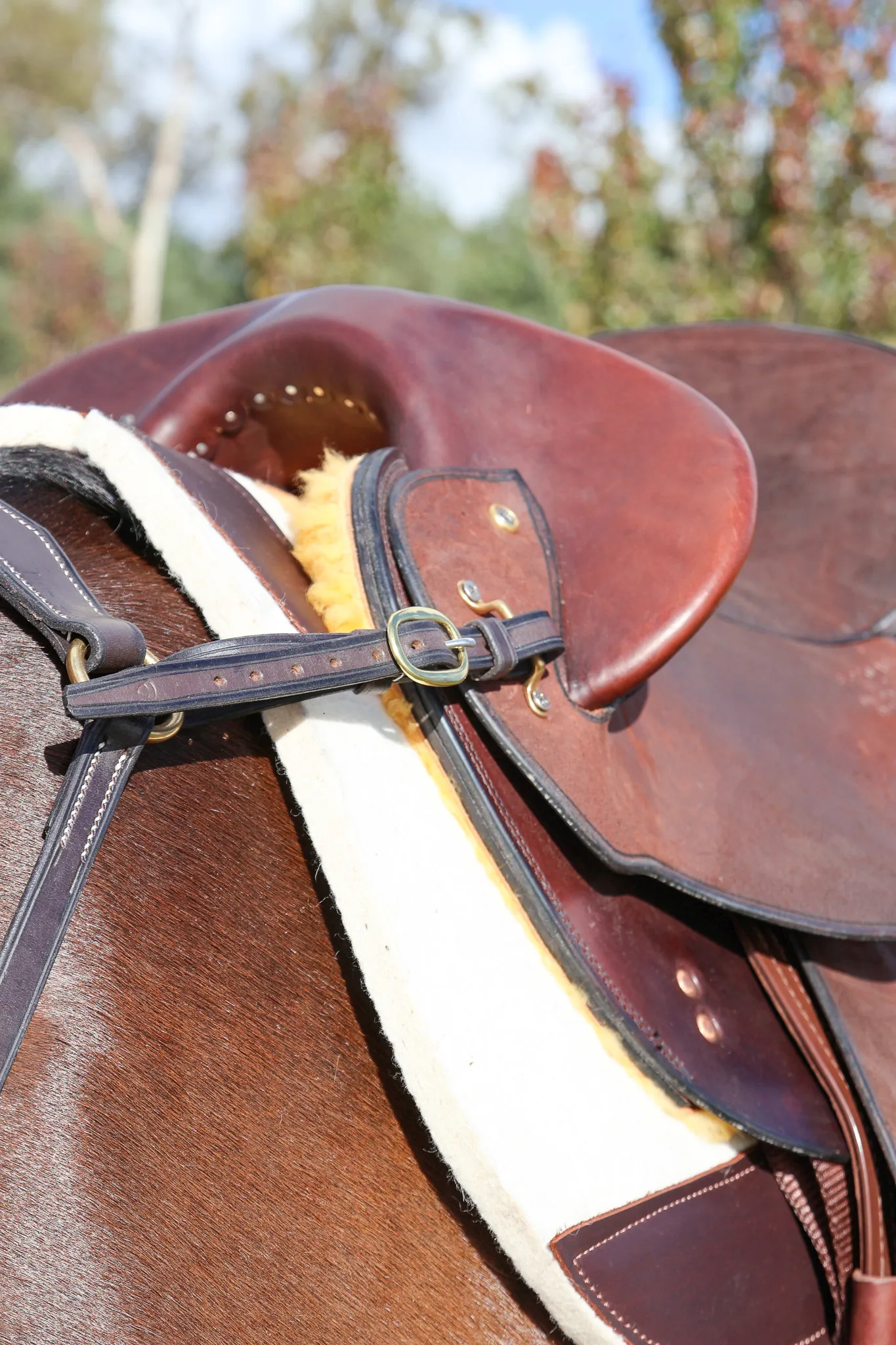 Handmade Leather Breastplate – Brown - Image 7