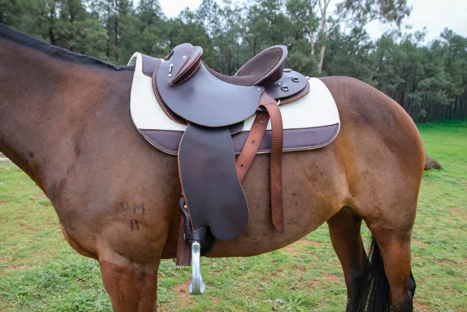 Cloncurry Fender Saddle – Fully Mounted - Image 2