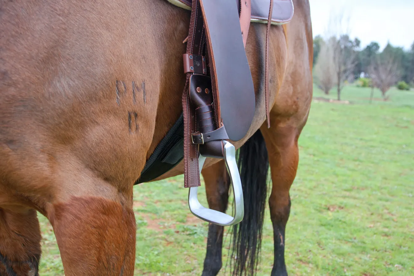 Cloncurry Fender Saddle – Fully Mounted - Image 5