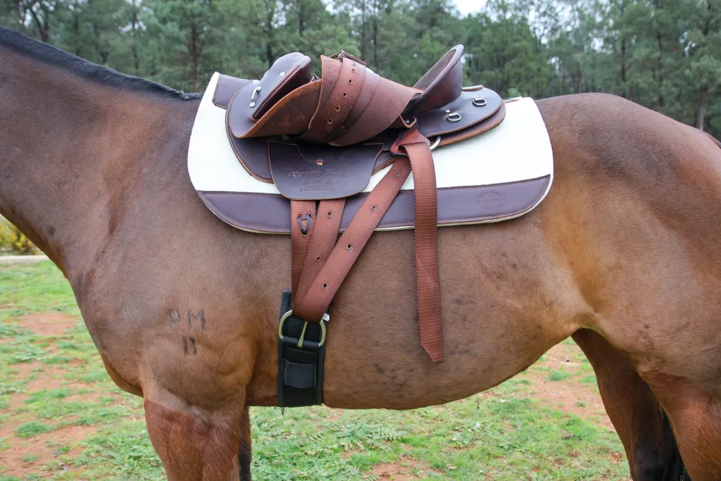 Riverina Saddlery Webbed Latigo and Billet - Image 2