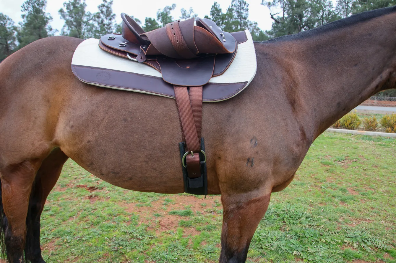 Riverina Saddlery Webbed Latigo and Billet - Image 3