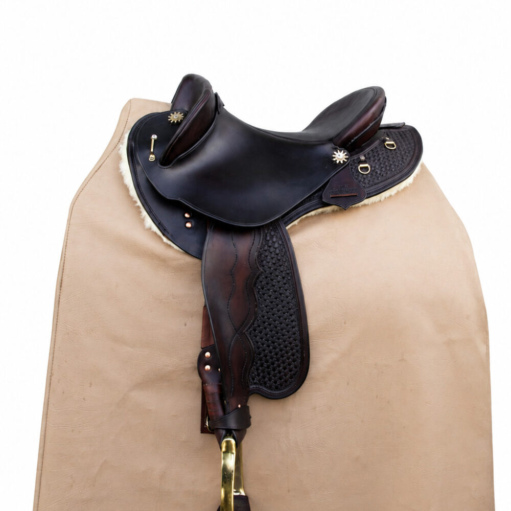 The Dressage Fender
