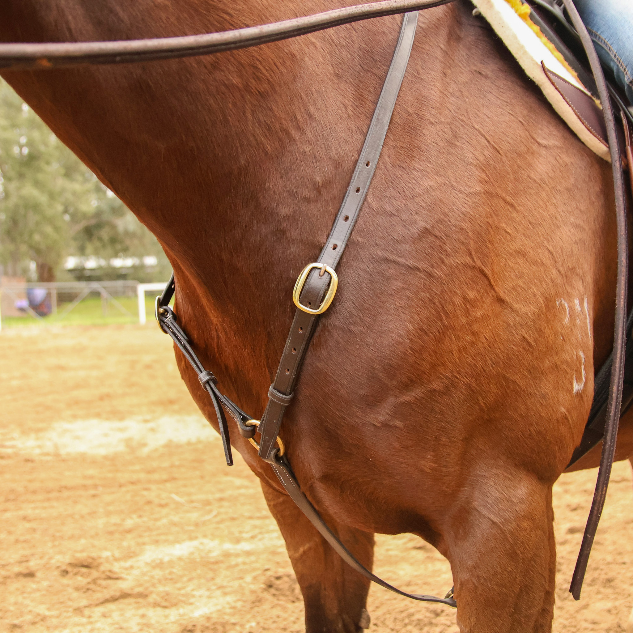 Handmade Leather Breastplate – Brown