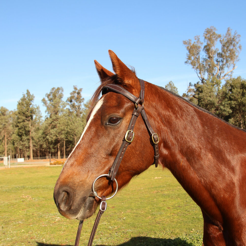 Handmade Leather Stock Bridle – Brown