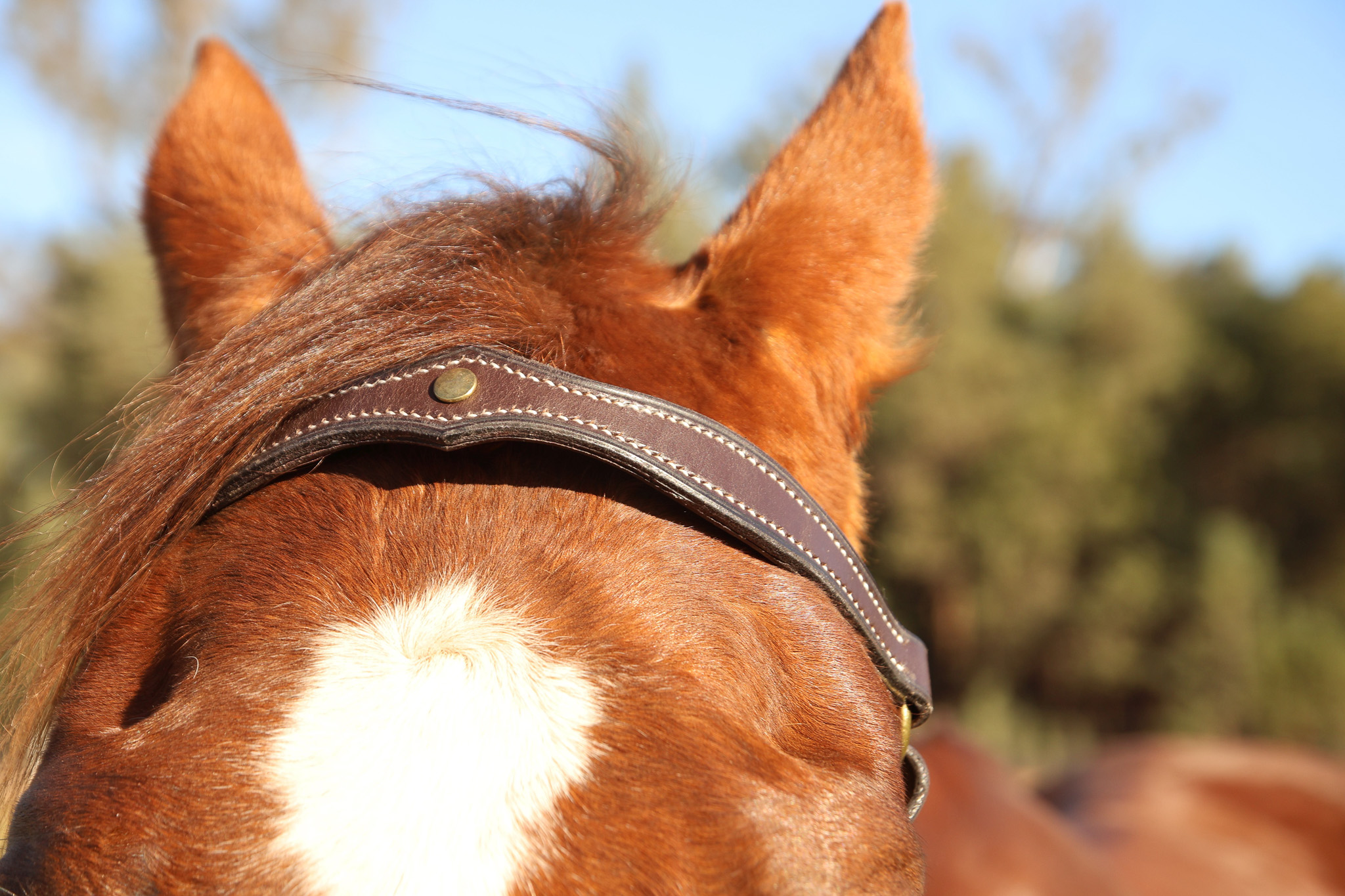 Handmade Leather Stock Bridle – Brown - Image 2